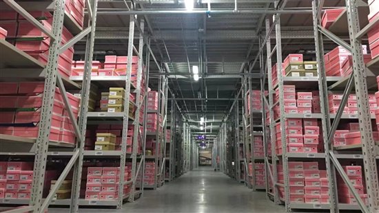 它们和人一样，其实都需要更好的家